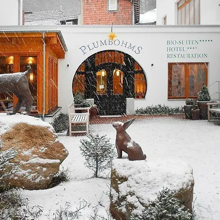 Plumbohms Echt-harz - Dmg03508-cya